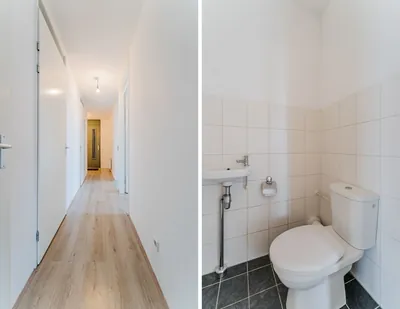 Zijdevlinder 62 – foto 10