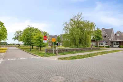 Korenveld 3 – foto 39