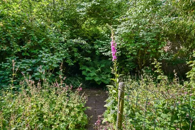 Koppelland 10 – foto 35