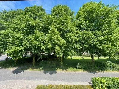 Kempenaar 35 – foto 2