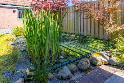 Arendshorst 6 – foto 29