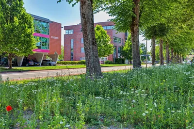 Havenstraat 69, Ridderkerk - foto 6