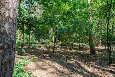 Baarnseweg 46, Bosch en Duin - foto 35