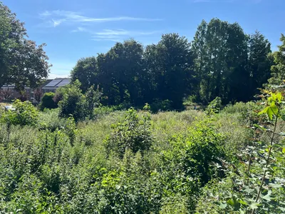 Midrethstraat 1A – foto 2