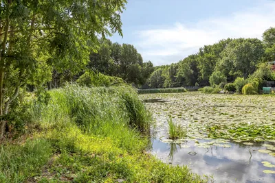 Ringvaart 15 – foto 33