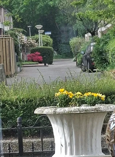Kruidhof 14 – foto 12
