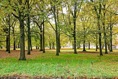 Wagenweg 166B, Haarlem - foto 3